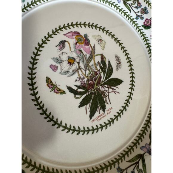 Vintage Portmeirion Variations Botanical Susan Williams-Ellis - 2 Dinner Plates - Picture 11 of 12